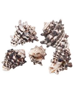 1U09210030000
